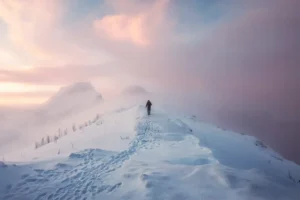 maria_meiler_magazin_How_we_learn_and_upgrade